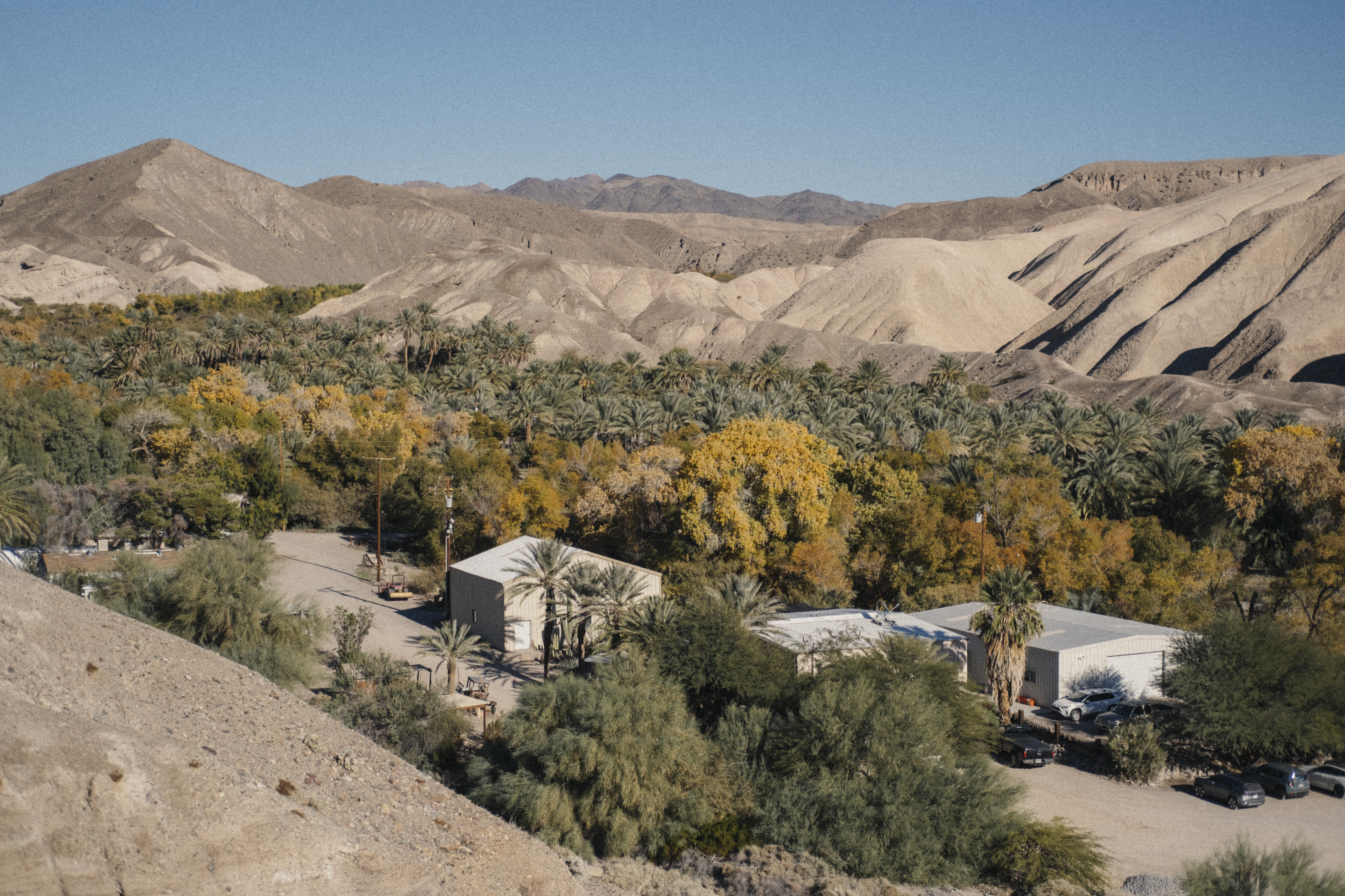 China Ranch Date Farm
